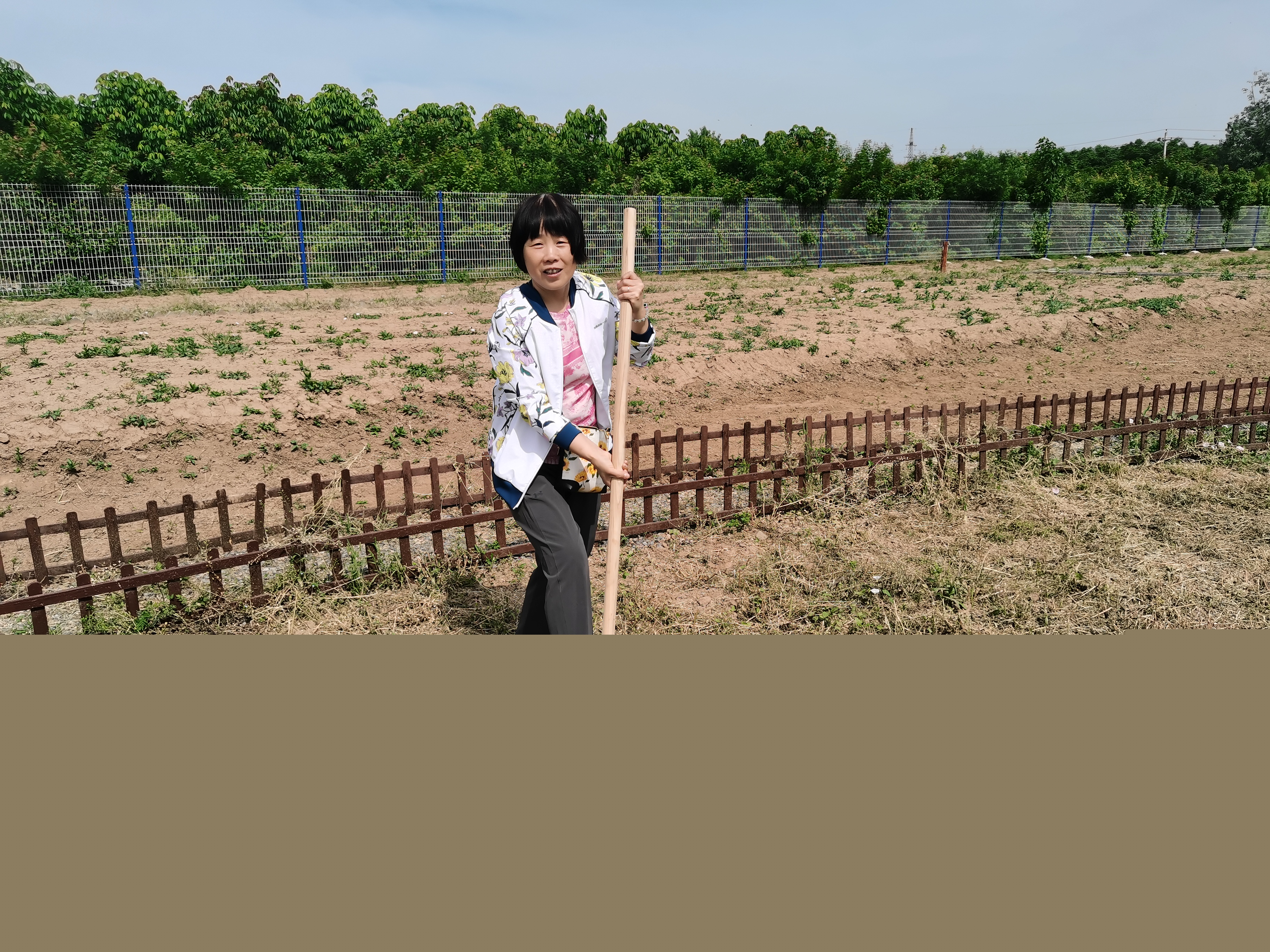 5d2071d18ce2435d9eba32ef865d59ab.png